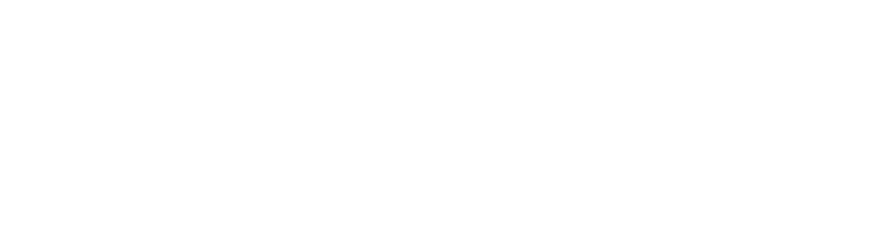 wilsave financial logo white